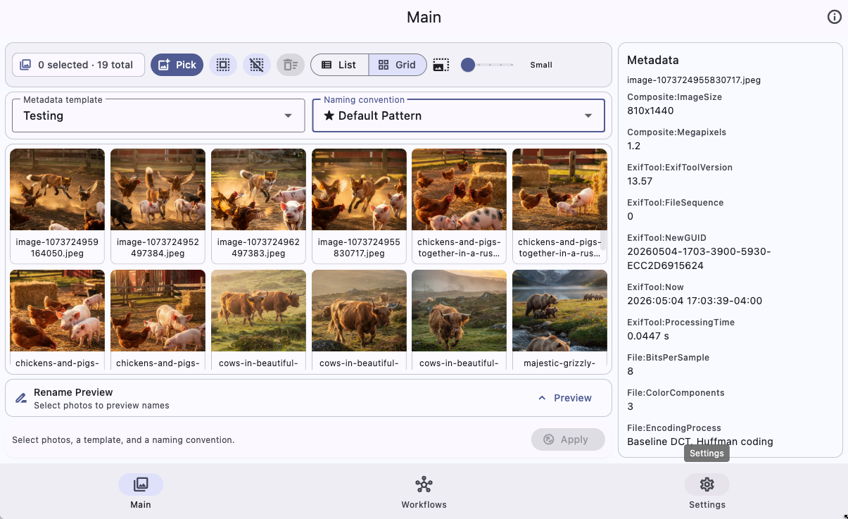 Gledhill Metadata Main screen in grid view