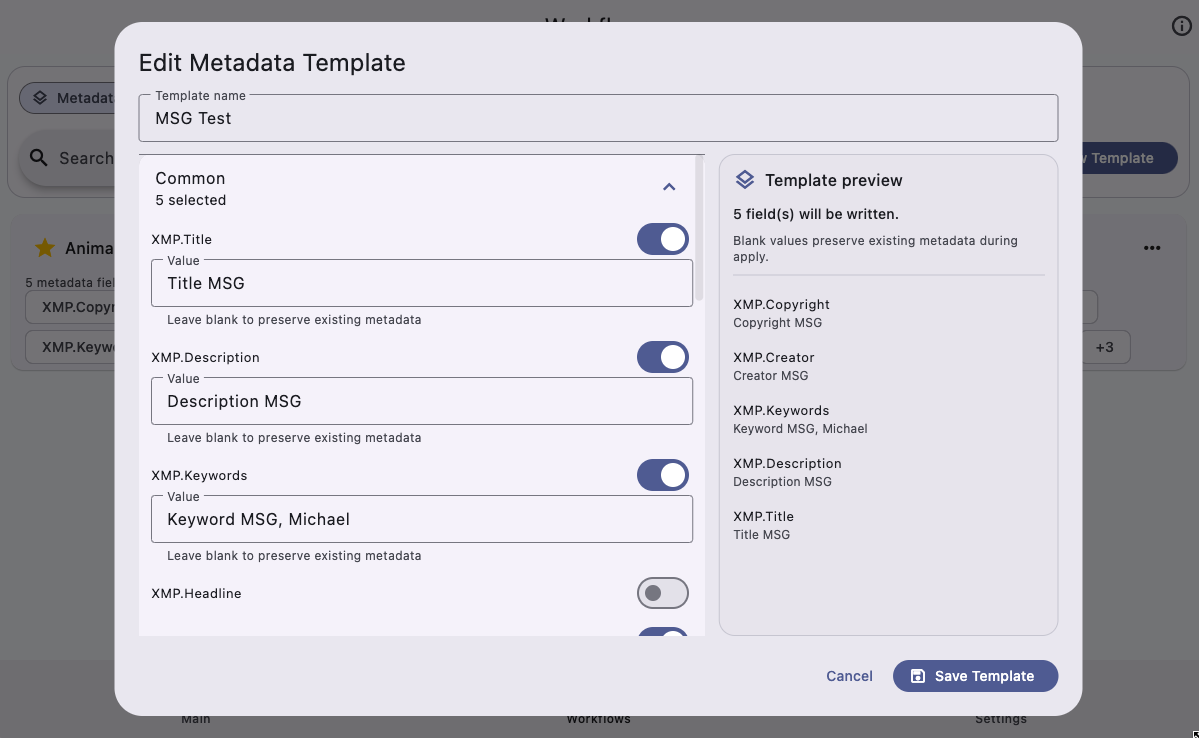Metadata template details editor